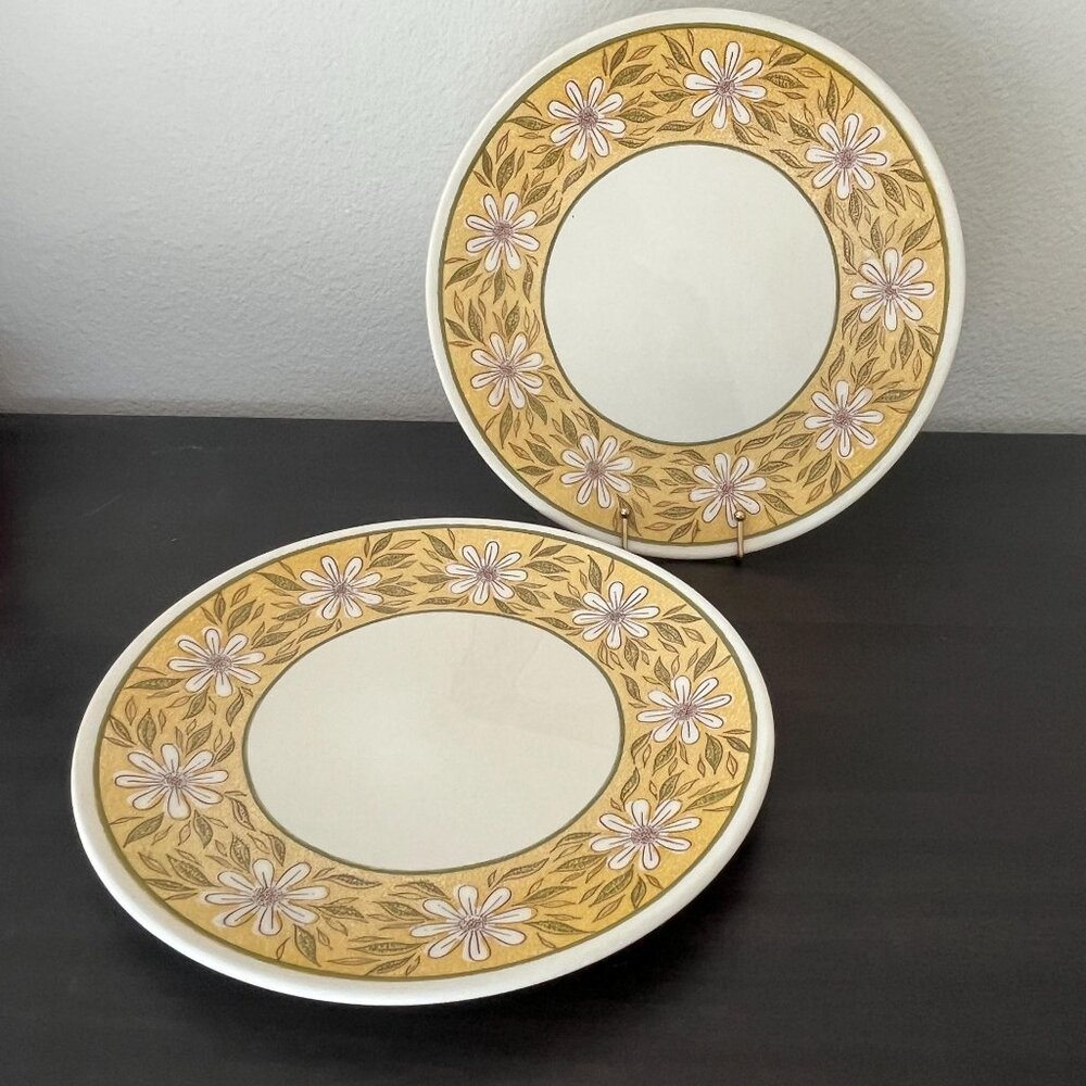 Vintage Taylor Ironstone Yellow Daisy Dinner Plates // Set of 2 // TS&T